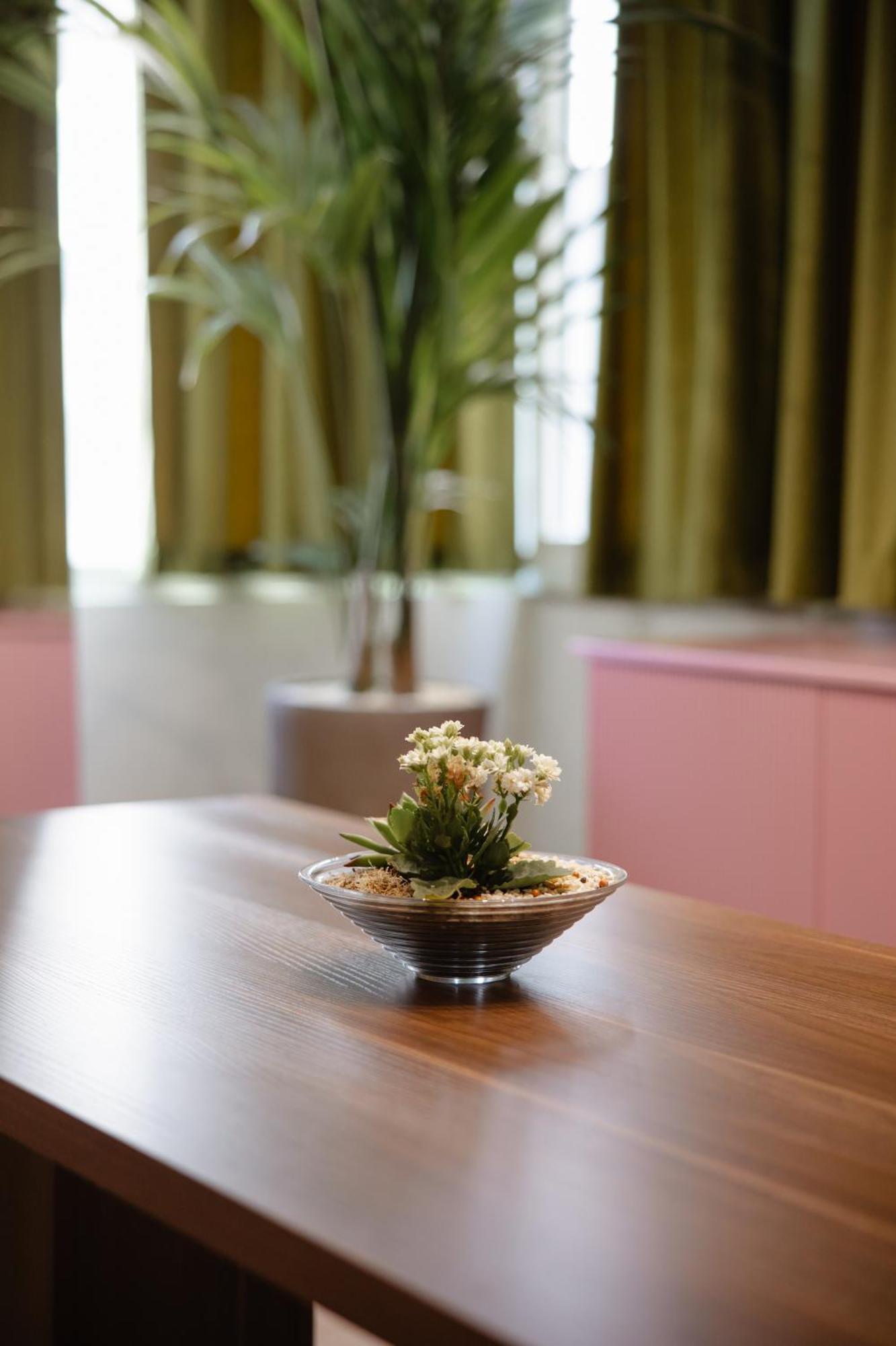 Corner Hostel Shkoder Ngoại thất bức ảnh